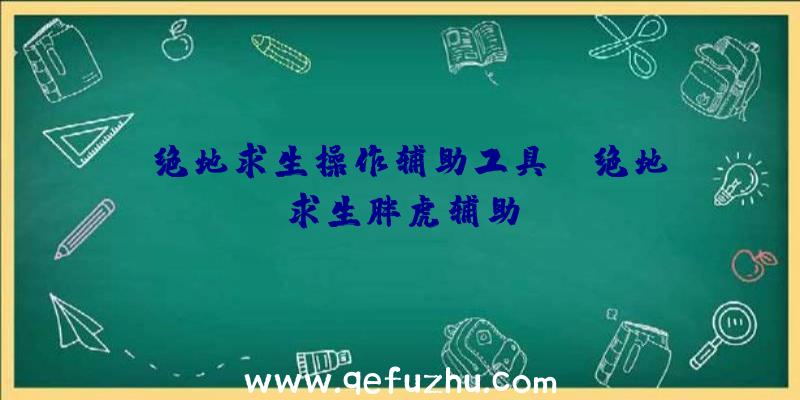 「绝地求生操作辅助工具」|绝地求生胖虎辅助